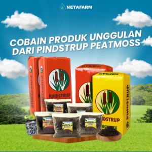 pindstrup peatmoss